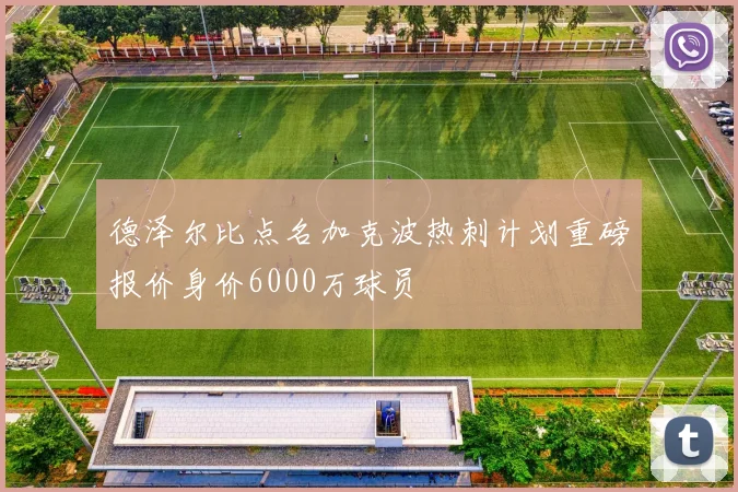 德泽尔比点名加克波热刺计划重磅报价身价6000万球员