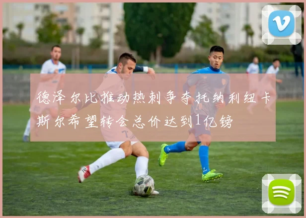 德泽尔比推动热刺争夺托纳利纽卡斯尔希望转会总价达到1亿镑